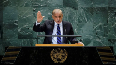 pm shebaz sharief