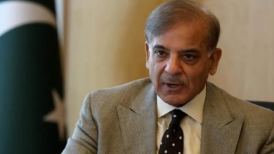 pm shebaz sharief