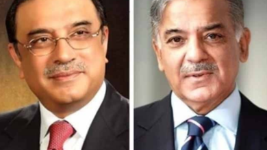 president asif ali zardari,pm shebaz sharief