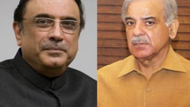 president asif zardari,pm shebaz sharief