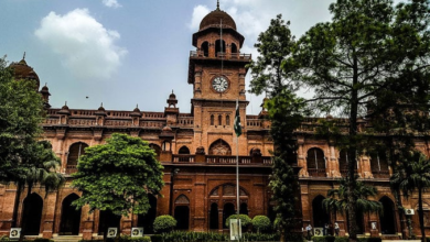 punjab universty