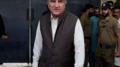 shah mehmood qureshi