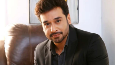 actor faisal qureshi
