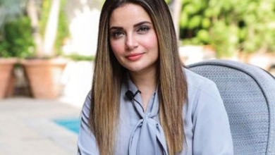 actress armeena khan