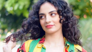 actress mehar bano