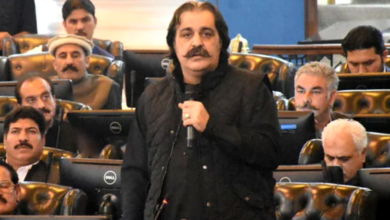 ali amin gandapur 1