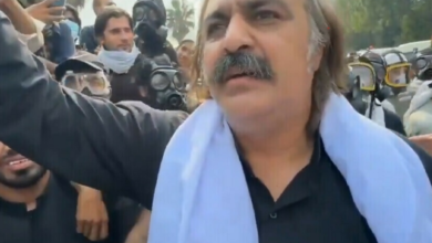 ali amin gandapur