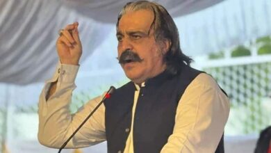ali amin gandapur