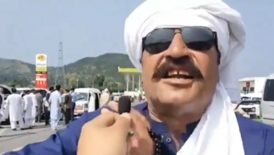 ali amin gandapur