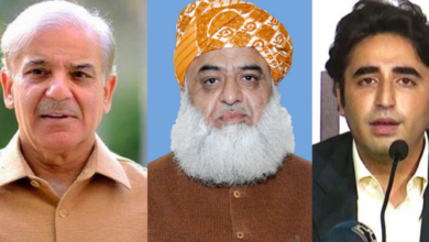 bilawal bhutoo,pm shebaz sharief,maulana fazal ur rehman