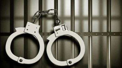 case on murdered mother