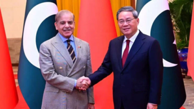 china pn lee kiyong,pm shebaz sharief