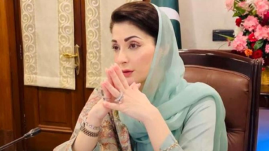 cm maryam nawaz