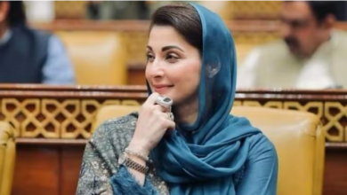cm maryam nawaz