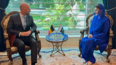 cm maryam nawaz met