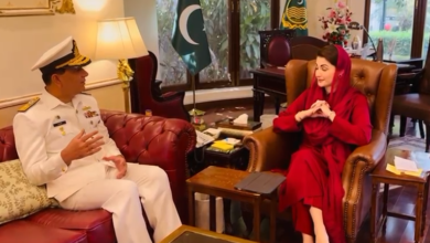cm maryam nawaz met rare admirel
