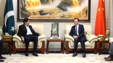 cm sindh murad ali shah in chines