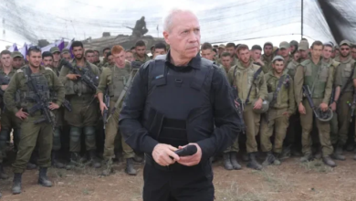 defence minister of israel