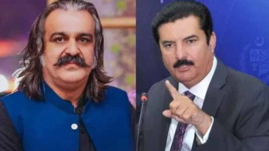 faisal kareem kundi,ali amin gandapur