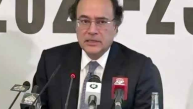 finance minister m aurangzeb