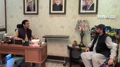 hamza shebaz meets