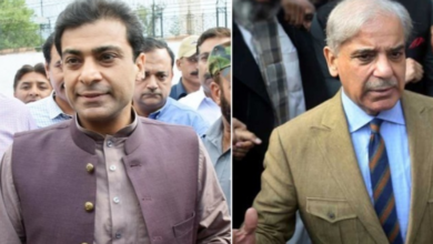 hamza shebaz.pm shebaz sharief