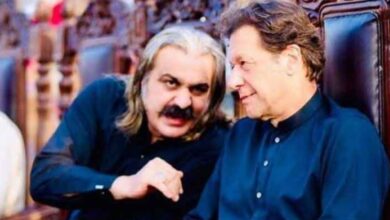 imran khan and ali ameen gandapur