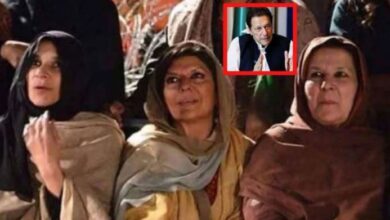 imran khan meeting with her sister