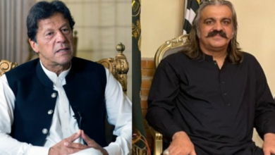 imran khan,ali amin gandapur