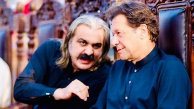 imran khan,ali amin gandapur