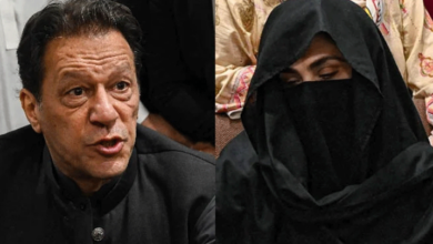 imran khan,bushra bibi