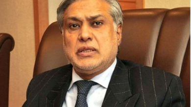 ishaq dar