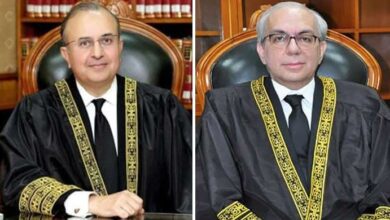 justice mansoor ali shah and justice munib akhtar