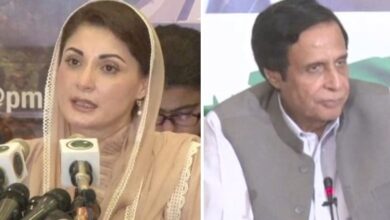 maryam nawaz and pervaiz elahi