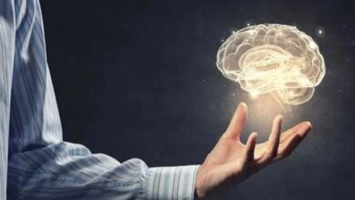 mind fresh