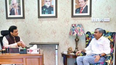 mohsin naqvi,hamza shebaz