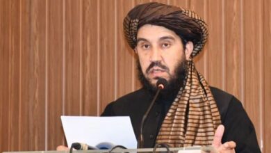 molvi sardar shakaib