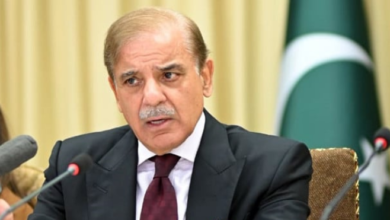 pm shebaz sharief