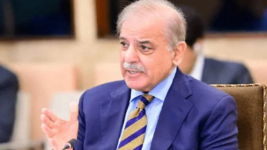 pm shebaz sharief