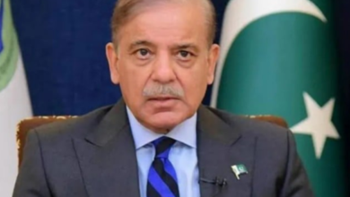 pm shebaz sharief