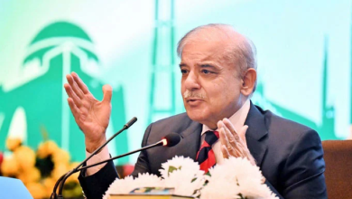 pm shebaz sharief
