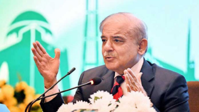 pm shebaz sharief