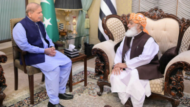 pm shebaz sharief meets maulana fazal ur rehman