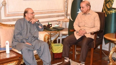 president asif ali zardari,pm shebaz sharief