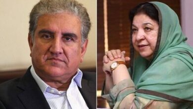 shah mehmood qureshi and doctor yasmin rashid