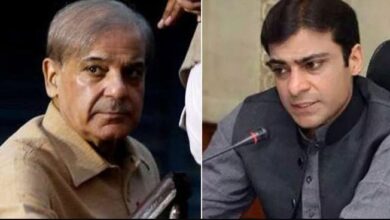 shahbaz sharif and hamza shahbaz