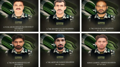 shaheeds