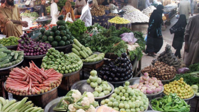 vegitables prices high