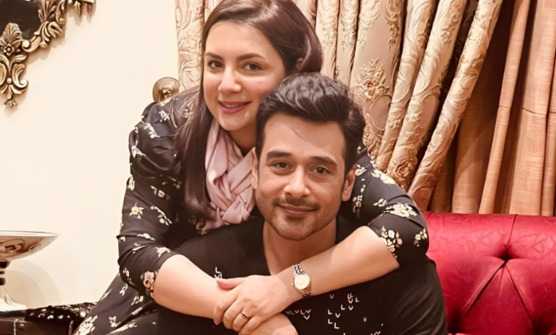 Faisal Quraishi, Sana khan