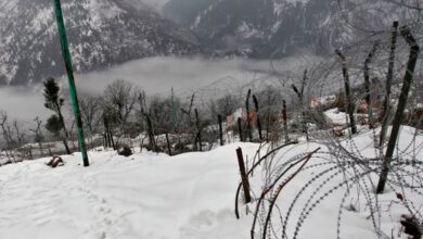 Srinagar LOC